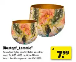 Hagebau Übertopf lammie Angebot