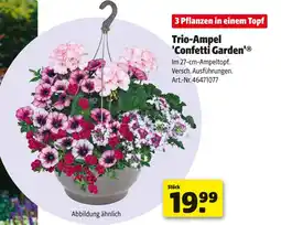 Hagebau Trio-ampel 'confetti garden' Angebot