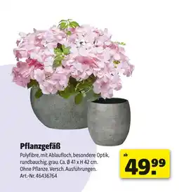 Hagebau Pflanzgefäß Angebot