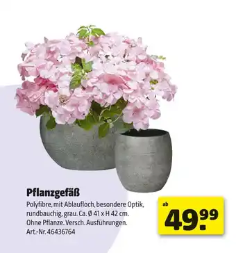 Hagebau Pflanzgefäß Angebot