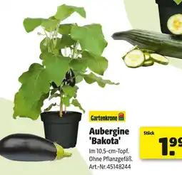 Hagebau Gartenkrone aubergine 'bakota' Angebot