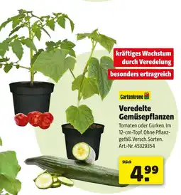 Hagebau Gartenkrone veredelte gemüsepflanzen Angebot