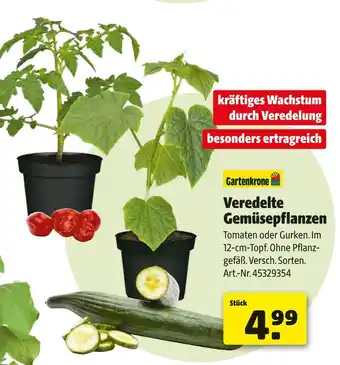 Hagebau Gartenkrone veredelte gemüsepflanzen Angebot