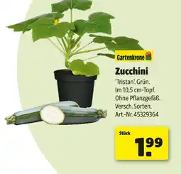 Hagebau Gartenkrone zucchini Angebot
