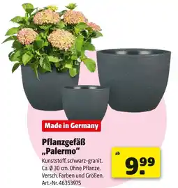 Hagebau Pflanzgefäß palermo Angebot