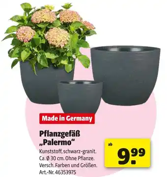 Hagebau Pflanzgefäß palermo Angebot