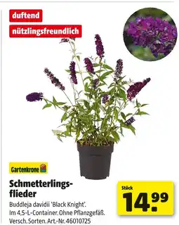 Hagebau Gartenkrone schmetterlingsflieder Angebot