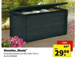 Hagebau Kissenbox woody Angebot