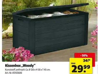 Hagebau Kissenbox woody Angebot