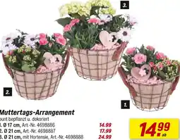 toom Baumarkt Muttertags-arrangement Angebot