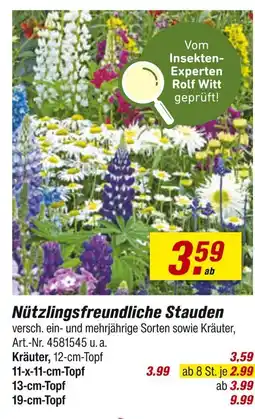 toom Baumarkt Nützlingsfreundliche stauden Angebot