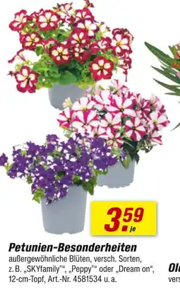 toom Baumarkt Petunien-besonderheiten Angebot