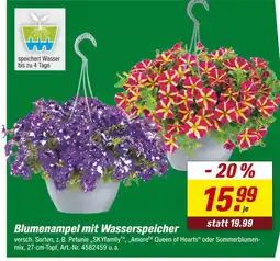 toom Baumarkt Blumenampel mit wasserspeicher Angebot