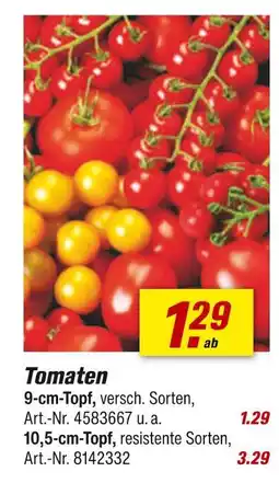 toom Baumarkt Tomaten Angebot