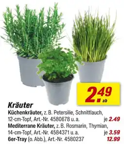 toom Baumarkt Kräuter Angebot