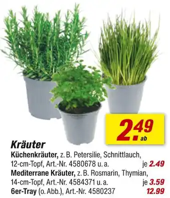 toom Baumarkt Kräuter Angebot