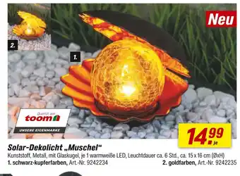 toom Baumarkt Toom solar-dekolicht „muschel“ Angebot