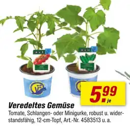 toom Baumarkt Veredeltes gemüse Angebot