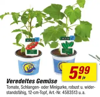 toom Baumarkt Veredeltes gemüse Angebot