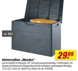 toom Baumarkt Woodys universalbox Angebot