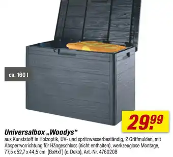 toom Baumarkt Woodys universalbox Angebot