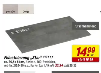 toom Baumarkt Feinsteinzeug „star“ Angebot