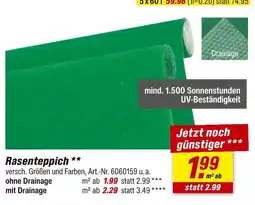 toom Baumarkt Rasenteppich Angebot