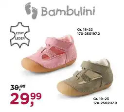 Reno Bambulini Angebot