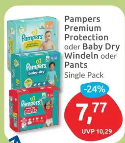 Budni Pampers premium protection oder baby dry windeln oder pants Angebot