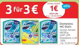 Budni Domestos wc stein Angebot