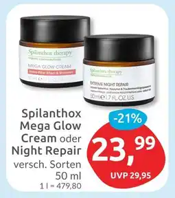 Budni Spilanthox therapy mega glow cream oder night repair Angebot