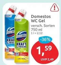 Budni Domestos wc gel Angebot