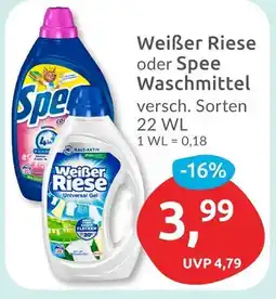 Budni Weißer riese weißer riese oder spee waschmittel Angebot