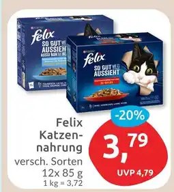 Budni Felix katzennahrung Angebot
