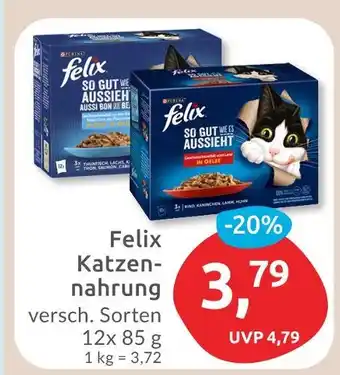 Budni Felix katzennahrung Angebot
