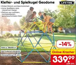 Netto Marken-Discount LIFETIME Kletter- und Spielkugel Geodome Angebot