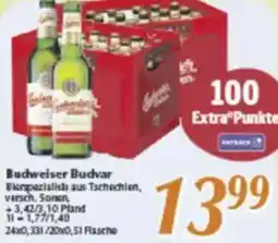 inkoop Budweiser Budvar Angebot