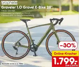 Netto Marken-Discount prophete Graveler 1.0 Gravel E-Bike 28" Angebot