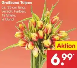Netto Marken-Discount Großbund Tulpen Angebot