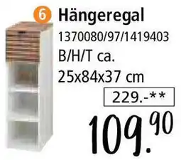 Zurbrüggen Hängeregal Angebot