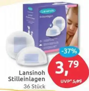 Budni Lansinoh Stilleinlagen Angebot