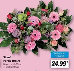 Lidl Strauß Purple Dream Angebot