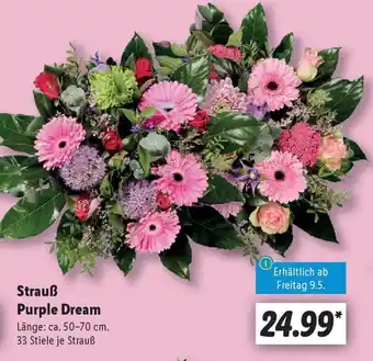 Lidl Strauß Purple Dream Angebot