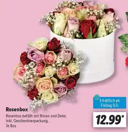 Lidl Rosenbox Angebot