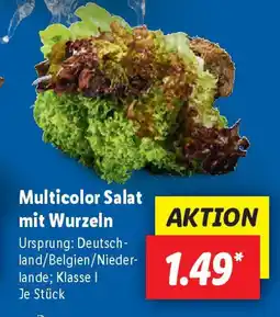 Lidl Multicolor Salat mit Wurzeln Angebot