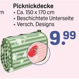 Rossmann Picknickdecke Angebot