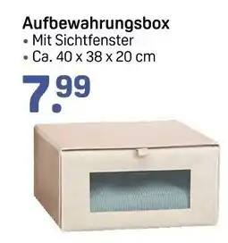 Rossmann Aufbewahrungsbox Angebot