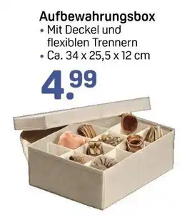 Rossmann Aufbewahrungsbox Angebot