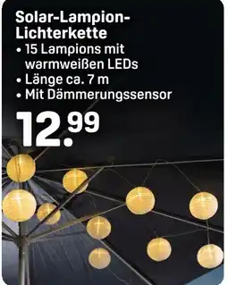 Rossmann Solar-Lampion- Lichterkette Angebot