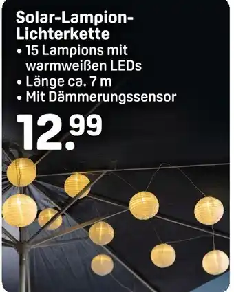 Rossmann Solar-Lampion- Lichterkette Angebot